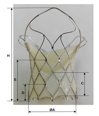 image 5 of Hydra TAVI Bio-prosthesis designed & developed by vascular innovations